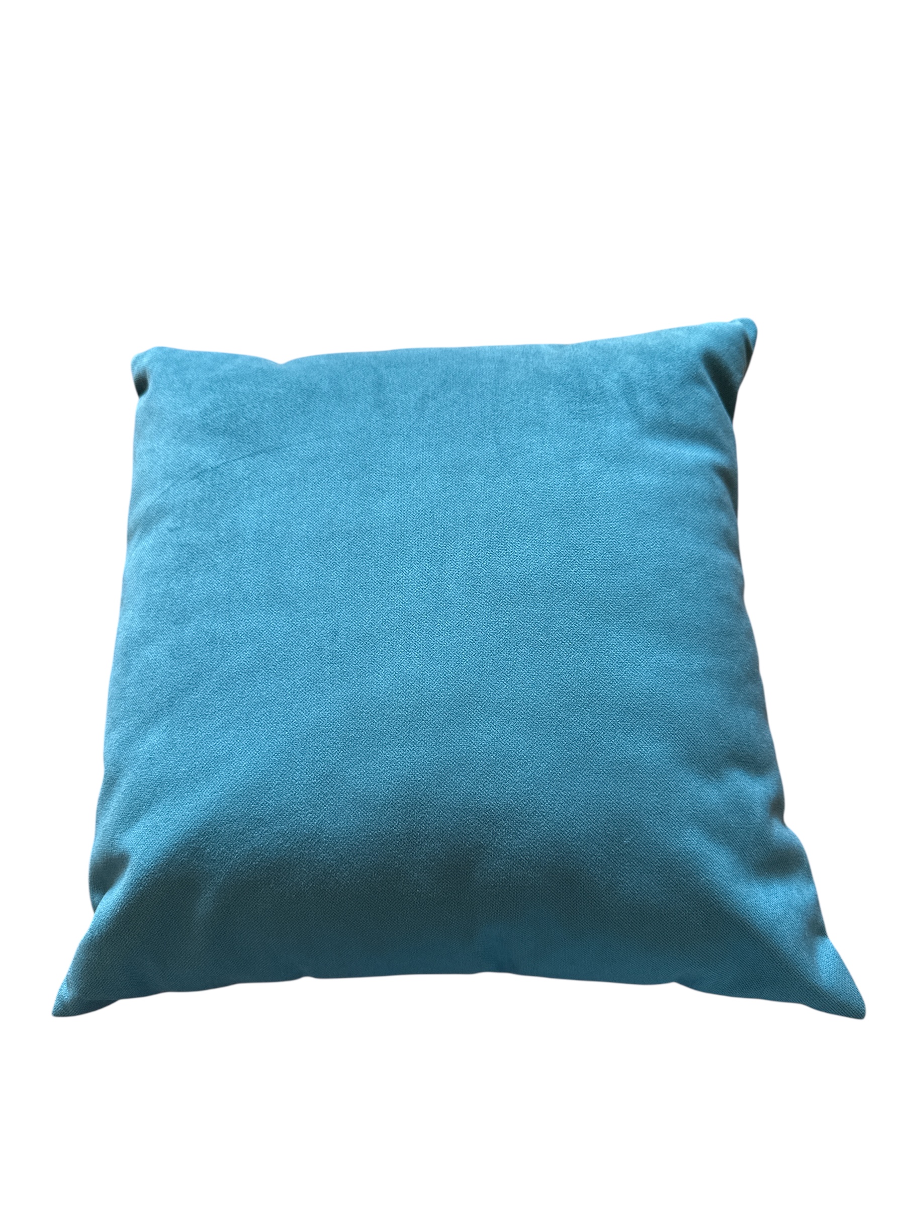 Cuscino in velluto 40X40