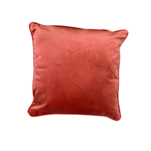 Cuscino Velluto  42X42